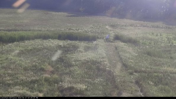 Cell 1 to 2_24-06-21_19-29-26-35