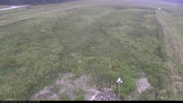 Cell 1_24-06-21_08-19-19-33