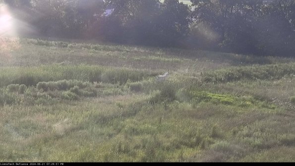 Cell 2 to 3_24-06-21_19-29-52-40