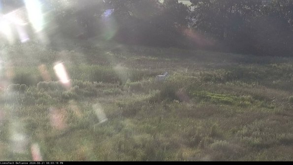 Cell 2 to 3_24-06-21_20-03-20-45