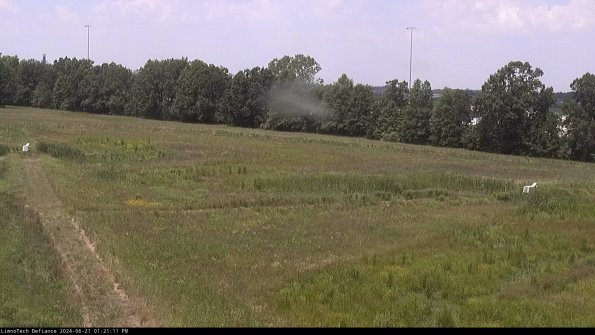 Cell 2_24-06-21_13-21-12-36