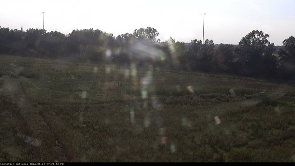 Cell 2_24-06-21_19-29-39-36