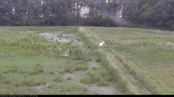 Cell 3 to 4_24-06-21_11-41-26-32