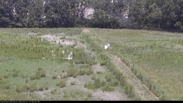 Cell 3 to 4_24-06-21_12-48-25-32