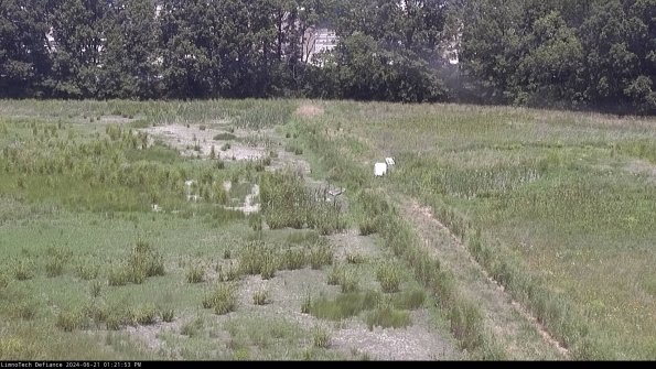 Cell 3 to 4_24-06-21_13-21-54-34