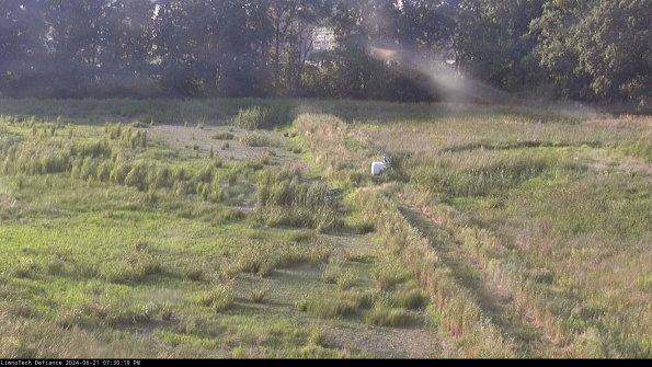 Cell 3 to 4_24-06-21_19-30-20-33