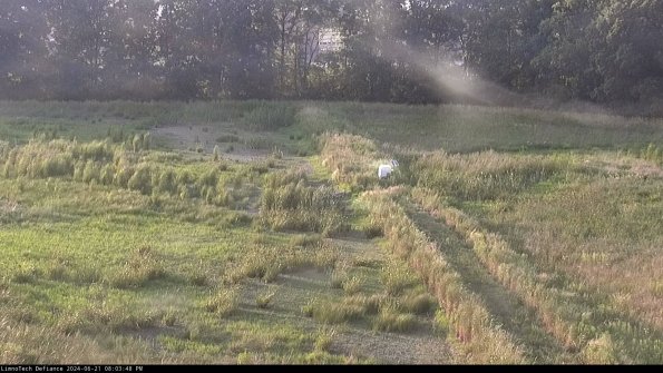 Cell 3 to 4_24-06-21_20-03-49-35