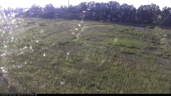 Cell 3_24-06-21_19-30-06-55