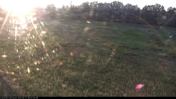 Cell 3_24-06-21_20-37-05-35