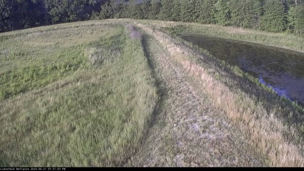 Cell 4 to Basin_24-06-21_19-31-04-31