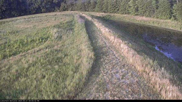 Cell 4 to Basin_24-06-21_20-04-33-36