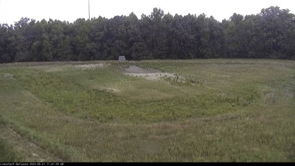 Cell 4_24-06-21_11-41-40-33