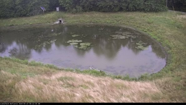 Basin Right_24-06-23_08-22-31-34