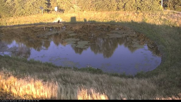 Basin Right_24-06-23_20-39-16-34