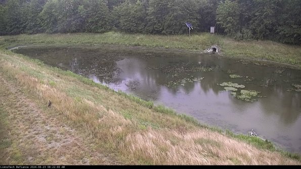 Basin_24-06-23_08-22-00-54