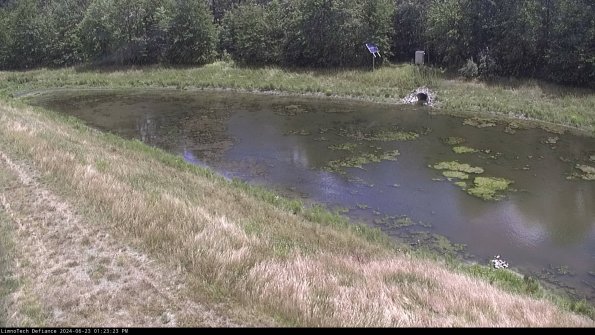 Basin_24-06-23_13-23-23-45