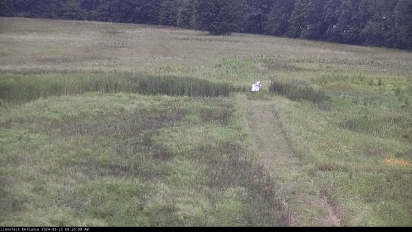 Cell 1 to 2_24-06-23_08-20-09-33