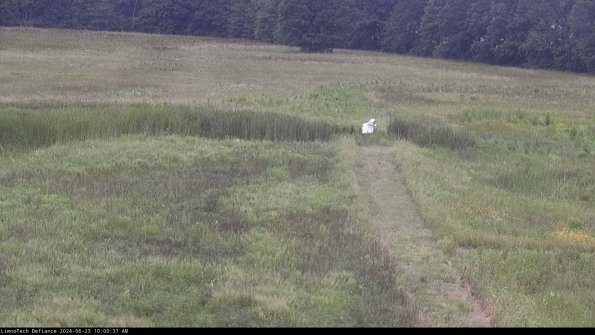 Cell 1 to 2_24-06-23_10-00-38-32