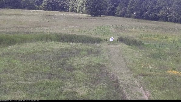 Cell 1 to 2_24-06-23_13-55-02-33