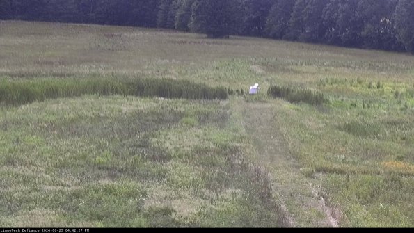 Cell 1 to 2_24-06-23_16-42-28-33