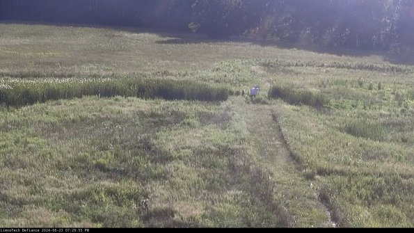 Cell 1 to 2_24-06-23_19-29-56-33