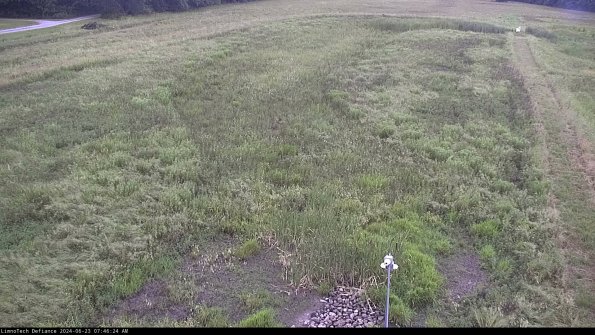 Cell 1_24-06-23_07-46-25-33