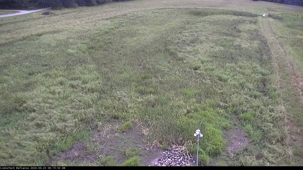 Cell 1_24-06-23_08-19-55-35