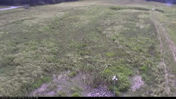 Cell 1_24-06-23_16-42-14-31