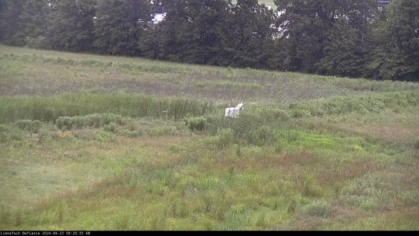 Cell 2 to 3_24-06-23_08-20-35-49