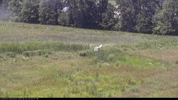 Cell 2 to 3_24-06-23_14-28-57-54