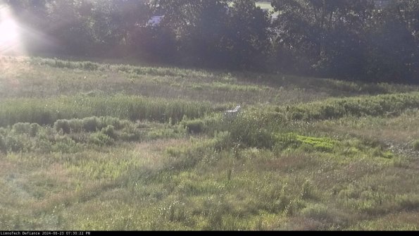 Cell 2 to 3_24-06-23_19-30-22-49