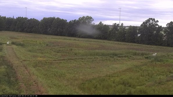 Cell 2_24-06-23_07-46-52-39