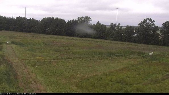 Cell 2_24-06-23_10-00-51-37