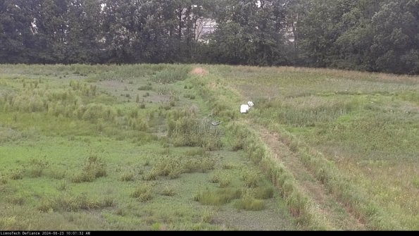 Cell 3 to 4_24-06-23_10-01-33-31