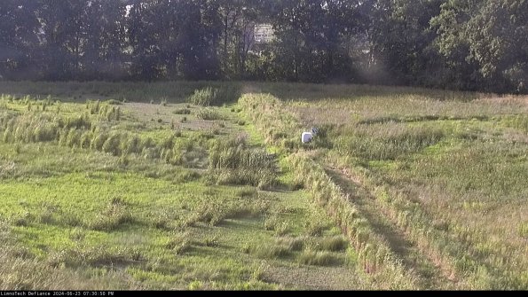 Cell 3 to 4_24-06-23_19-30-51-35