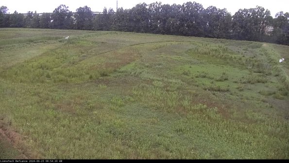 Cell 3_24-06-23_08-54-21-32