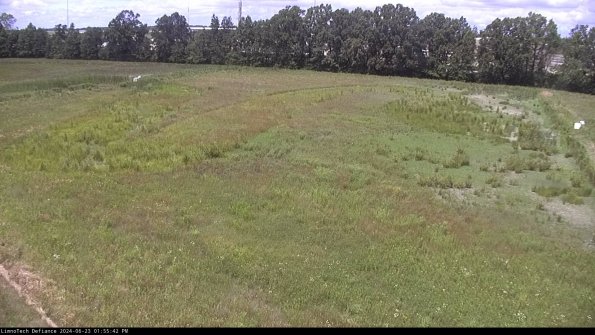 Cell 3_24-06-23_13-55-43-34