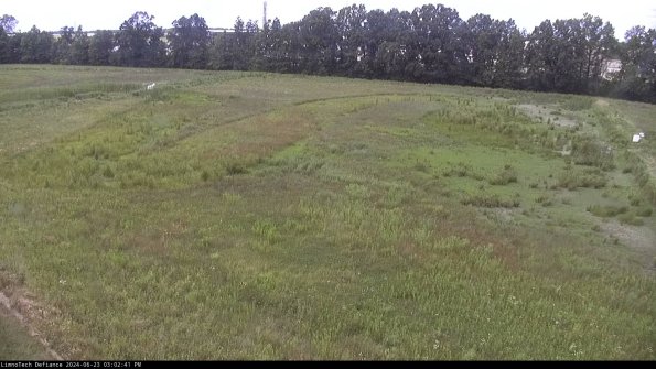 Cell 3_24-06-23_15-02-42-31