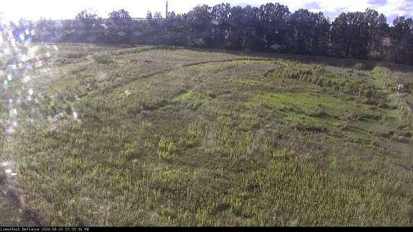 Cell 3_24-06-23_19-30-37-34