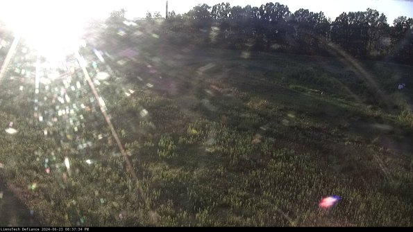 Cell 3_24-06-23_20-37-35-34