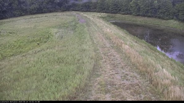 Cell 4 to Basin_24-06-23_10-02-17-35