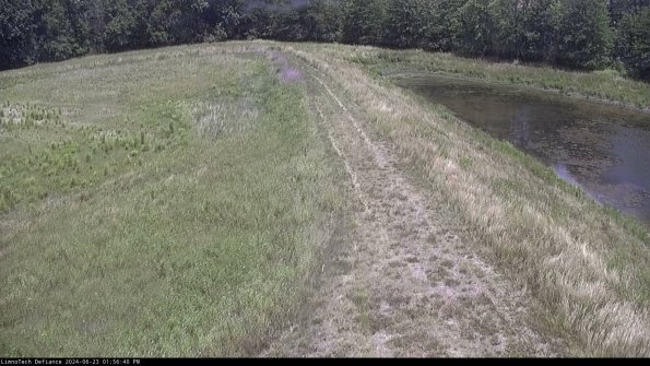 Cell 4 to Basin_24-06-23_13-56-41-33