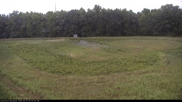 Cell 4_24-06-23_07-47-48-34