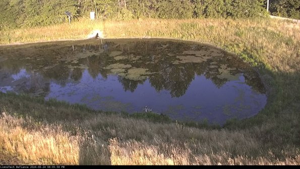 Basin Right_24-06-24_20-05-59-35