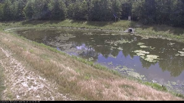 Basin_24-06-24_12-16-35-53