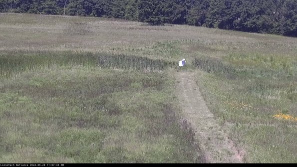 Cell 1 to 2_24-06-24_11-07-47-32