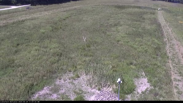 Cell 1_24-06-24_11-07-33-34