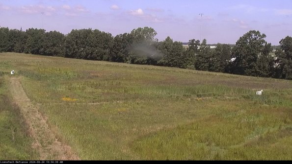 Cell 2_24-06-24_10-34-31-35