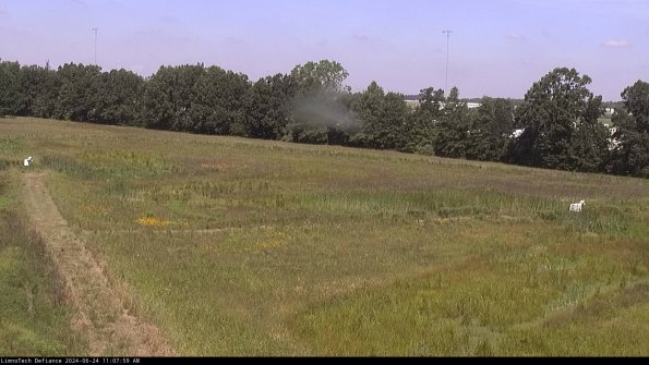 Cell 2_24-06-24_11-08-00-37