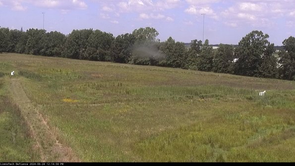 Cell 2_24-06-24_12-14-57-37